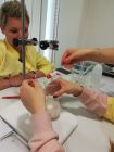 miniatura Warszawska Akademia Medyczno-Techniczna Nauk Stosowanych - zajęcia